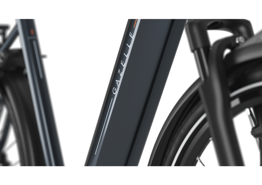 Gazelle Arroyo C5 Elite