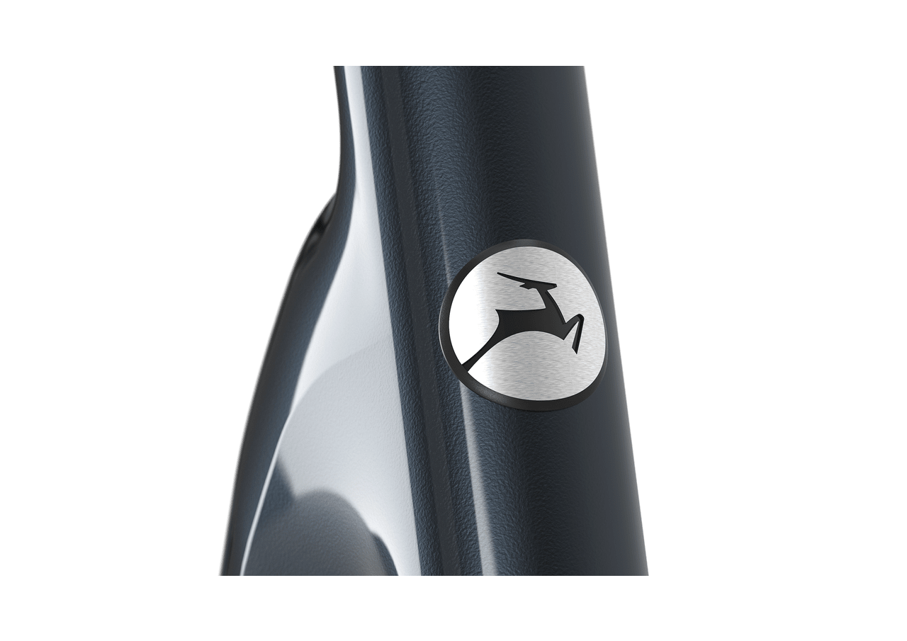 Gazelle Arroyo C5 Elite