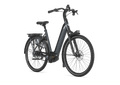 Gazelle Arroyo C5 Elite