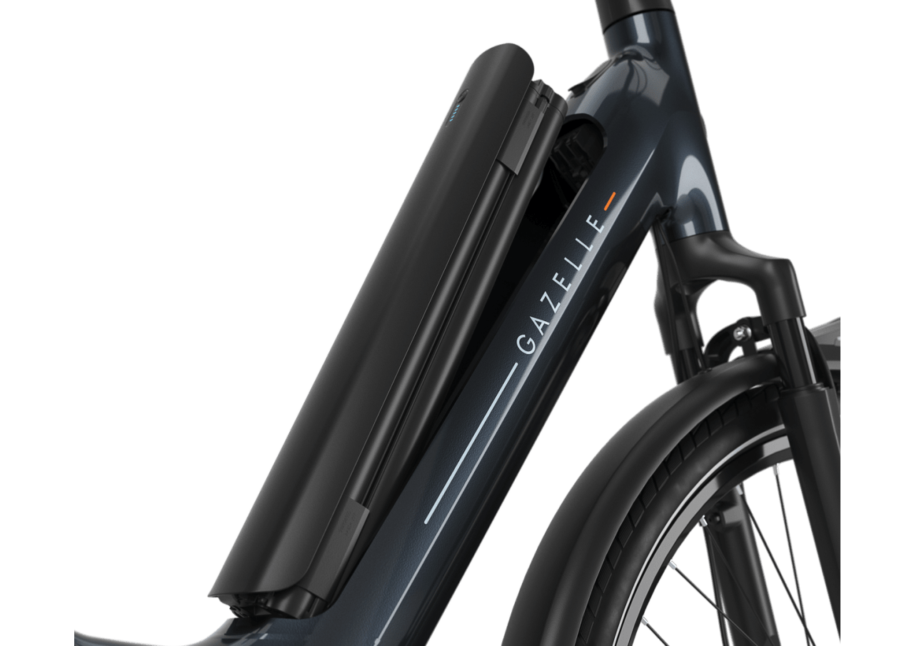 Gazelle Arroyo C5 Elite