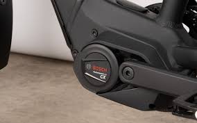 Riese & Müller Charger4 GT rohloff HS 49cm Bosch Performance Line Speed (smart system) 2026